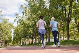 2025-26橄榄球挑战杯R1酋长战胜猎豹